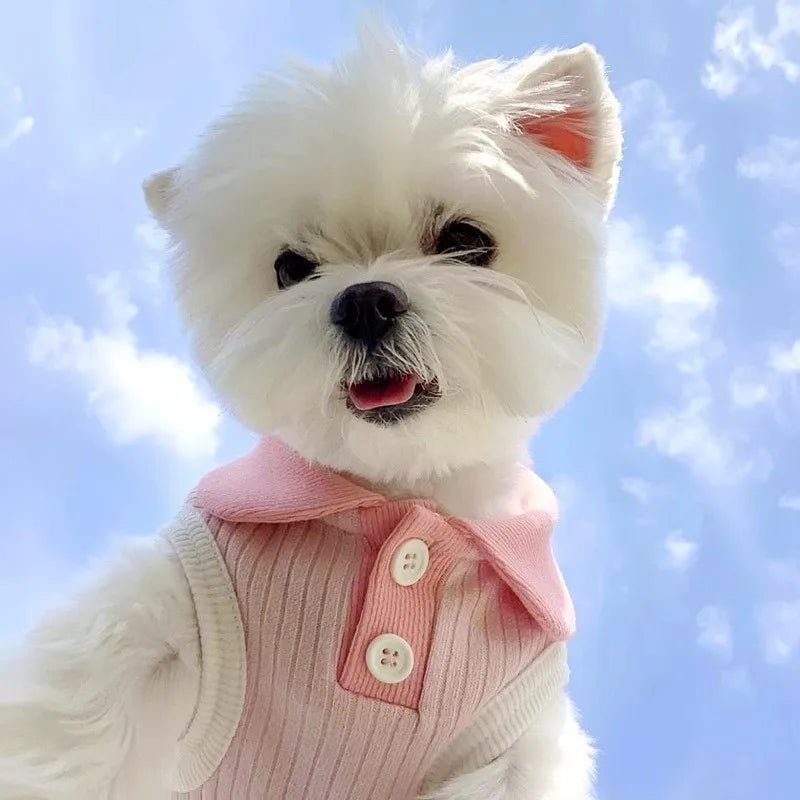 Stylish Cotton Polo Shirt Vest for Pets – Comfortable and Trendy Dog and Cat Apparel 3