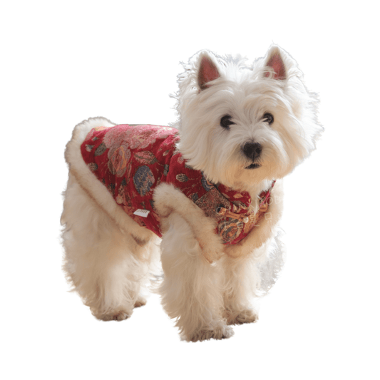 Stylish New Year Celebration Vest in Red, Green, and Gold – Comfortable Layering Attire for Holiday Gatherings 0