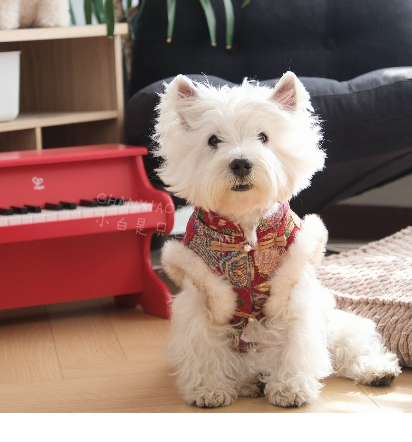 Stylish New Year Celebration Vest in Red, Green, and Gold – Comfortable Layering Attire for Holiday Gatherings 1