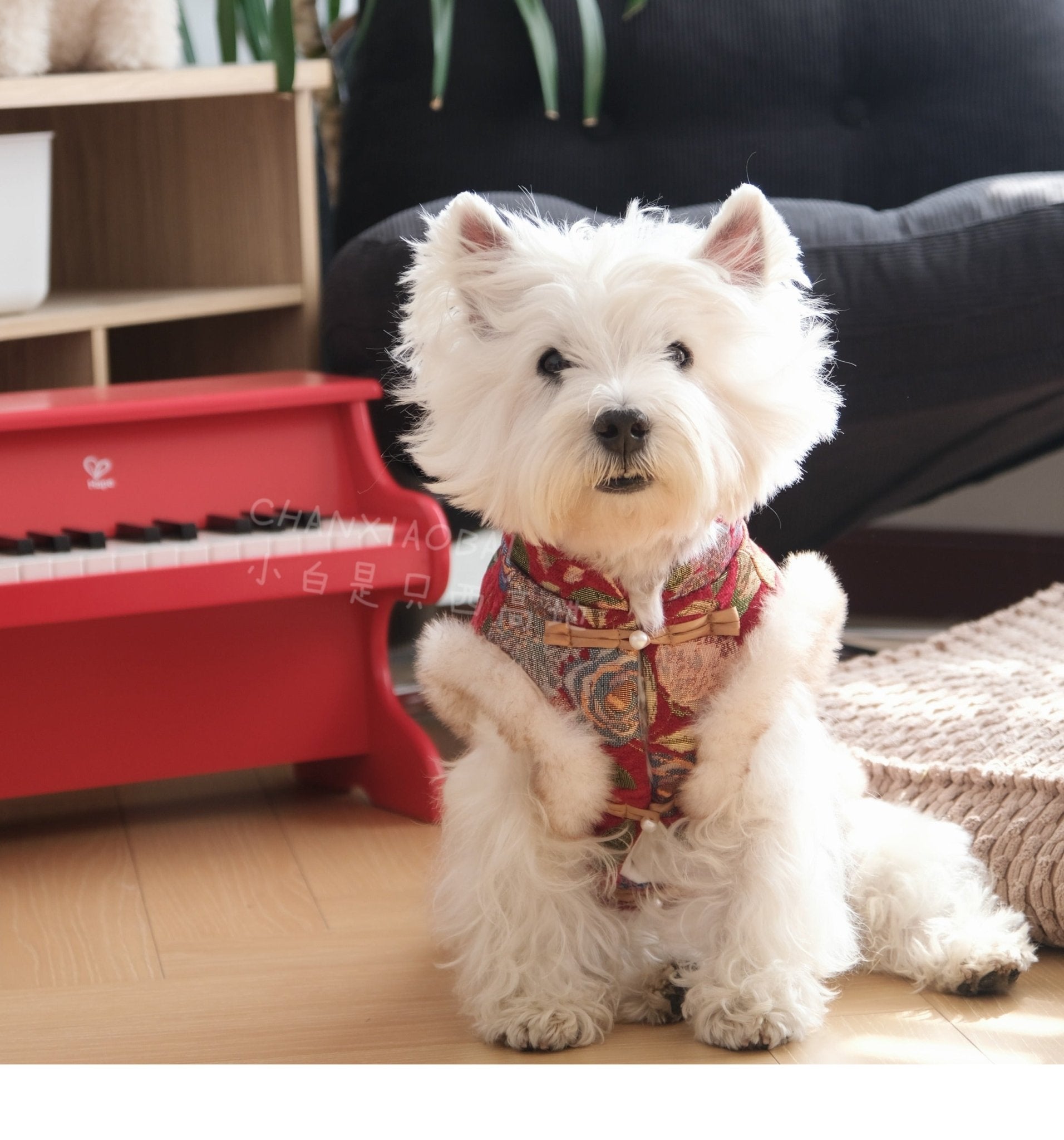 Stylish New Year Celebration Vest in Red, Green, and Gold – Comfortable Layering Attire for Holiday Gatherings 1