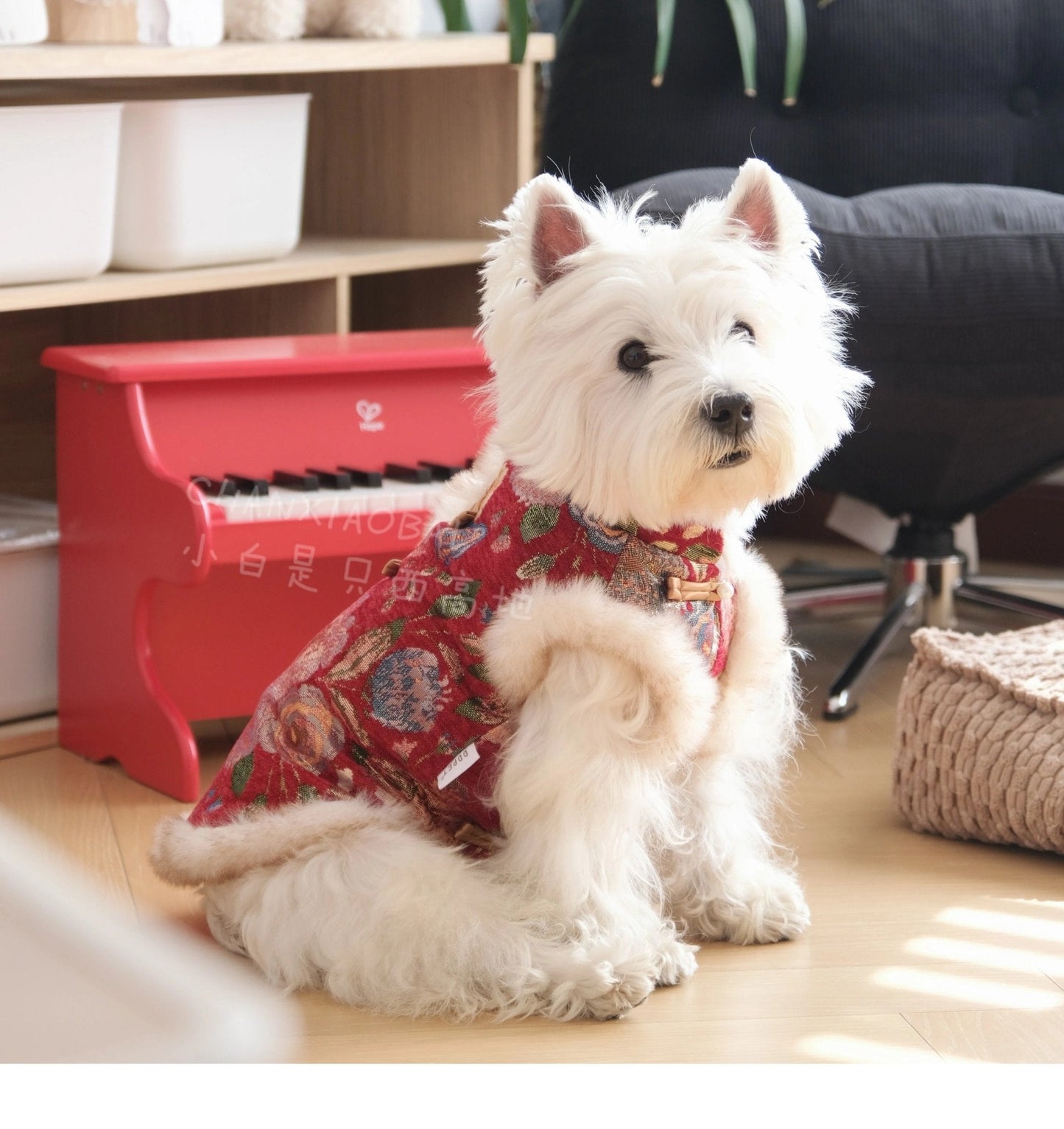 Stylish New Year Celebration Vest in Red, Green, and Gold – Comfortable Layering Attire for Holiday Gatherings 3