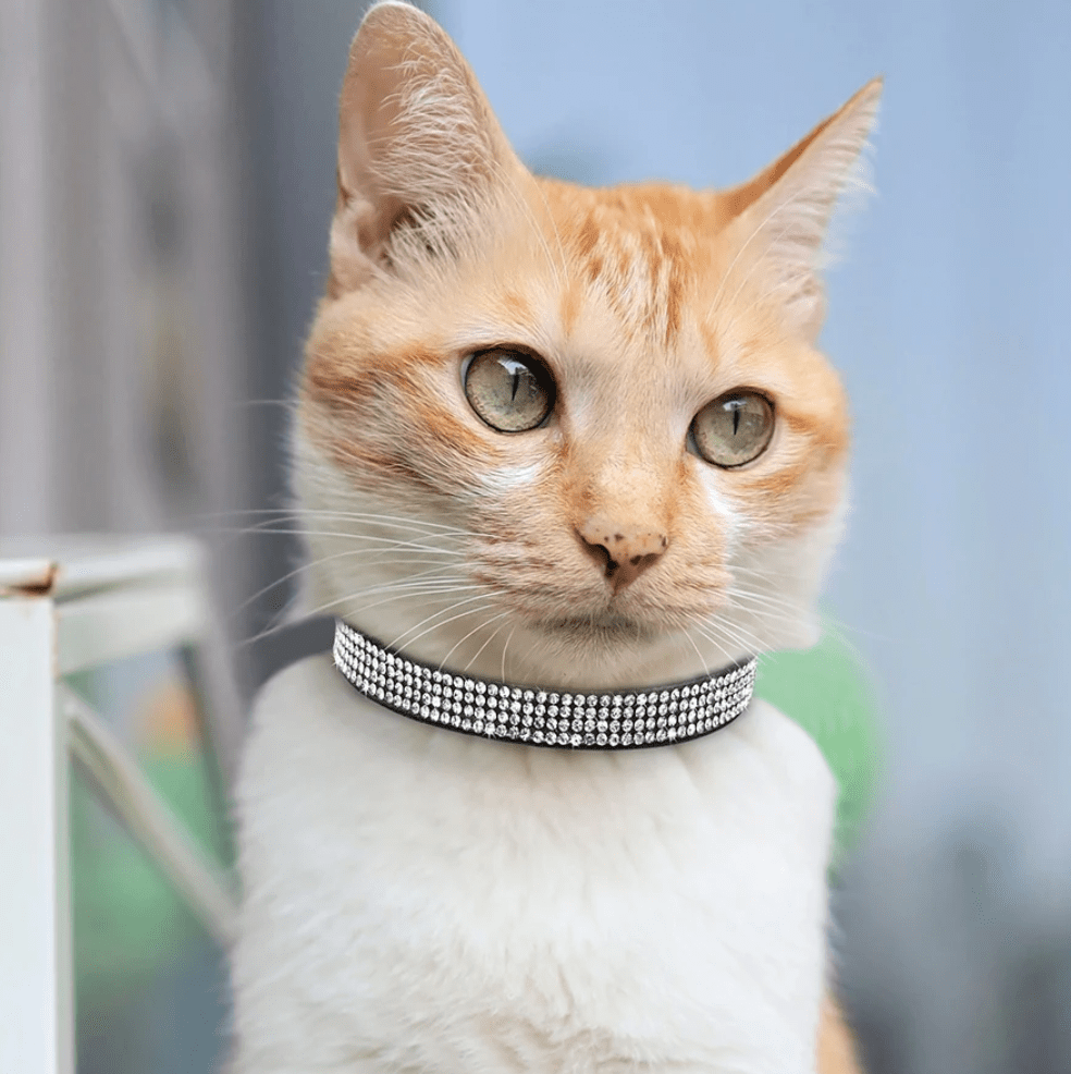 Stylish Soft Suede Pet Collar with Rhinestones – Adjustable for Cats and Small Dogs 6