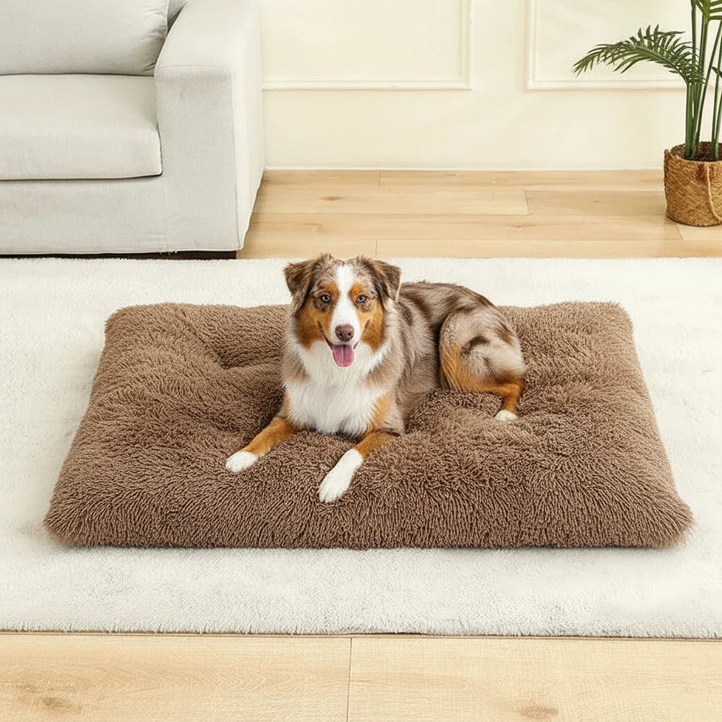 Super Soft Long Plush Large Dog Bed – Cozy Basket Design for Ultimate Comfort and Joint Support 6