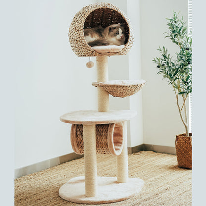 Sustainable Cat Scratching Post with Natural Rope and Washable Cushion – Durable Climbing and Play Structure for Active Cats 1