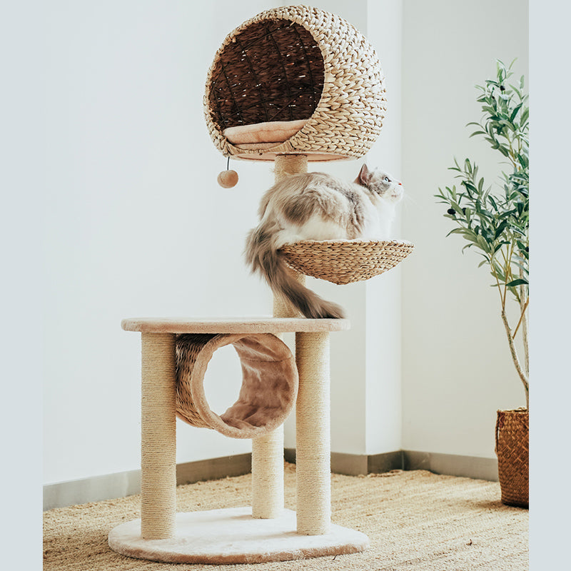 Sustainable Cat Scratching Post with Natural Rope and Washable Cushion – Durable Climbing and Play Structure for Active Cats 2