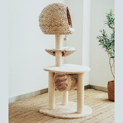 Sustainable Cat Scratching Post with Natural Rope and Washable Cushion – Durable Climbing and Play Structure for Active Cats 3