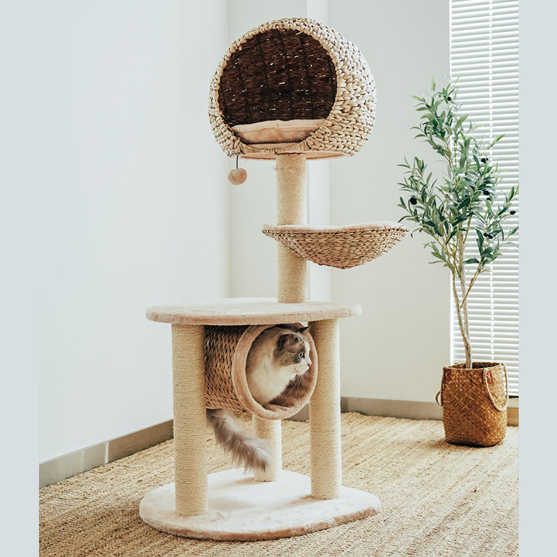 Sustainable Cat Scratching Post with Natural Rope and Washable Cushion – Durable Climbing and Play Structure for Active Cats 4