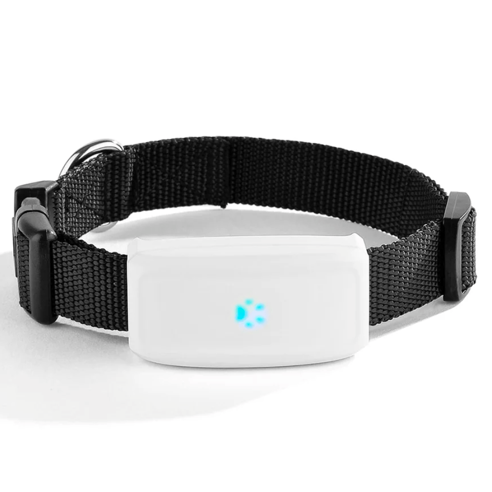TK911 GPS Pet Tracker – Waterproof 2G GSM Locator for Dogs and Cats 0