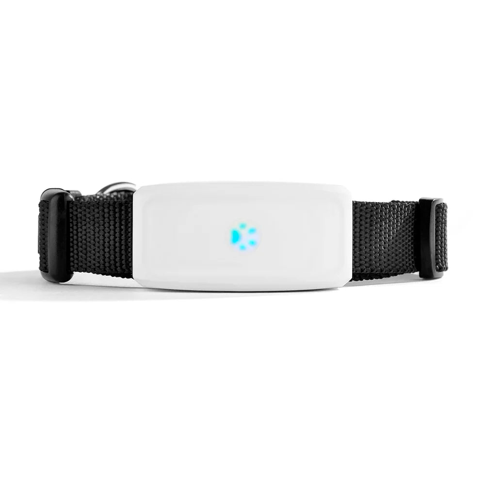 TK911 GPS Pet Tracker – Waterproof 2G GSM Locator for Dogs and Cats 4