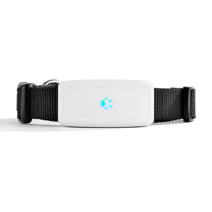 TK911 GPS Pet Tracker – Waterproof 2G GSM Locator for Dogs and Cats 4