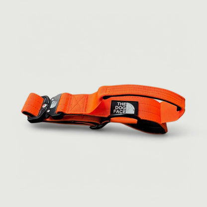 Tactical Dog Collar in Bright Orange – Durable Military-Grade Nylon with Quick Release and Control Lever, 5 cm Width 0