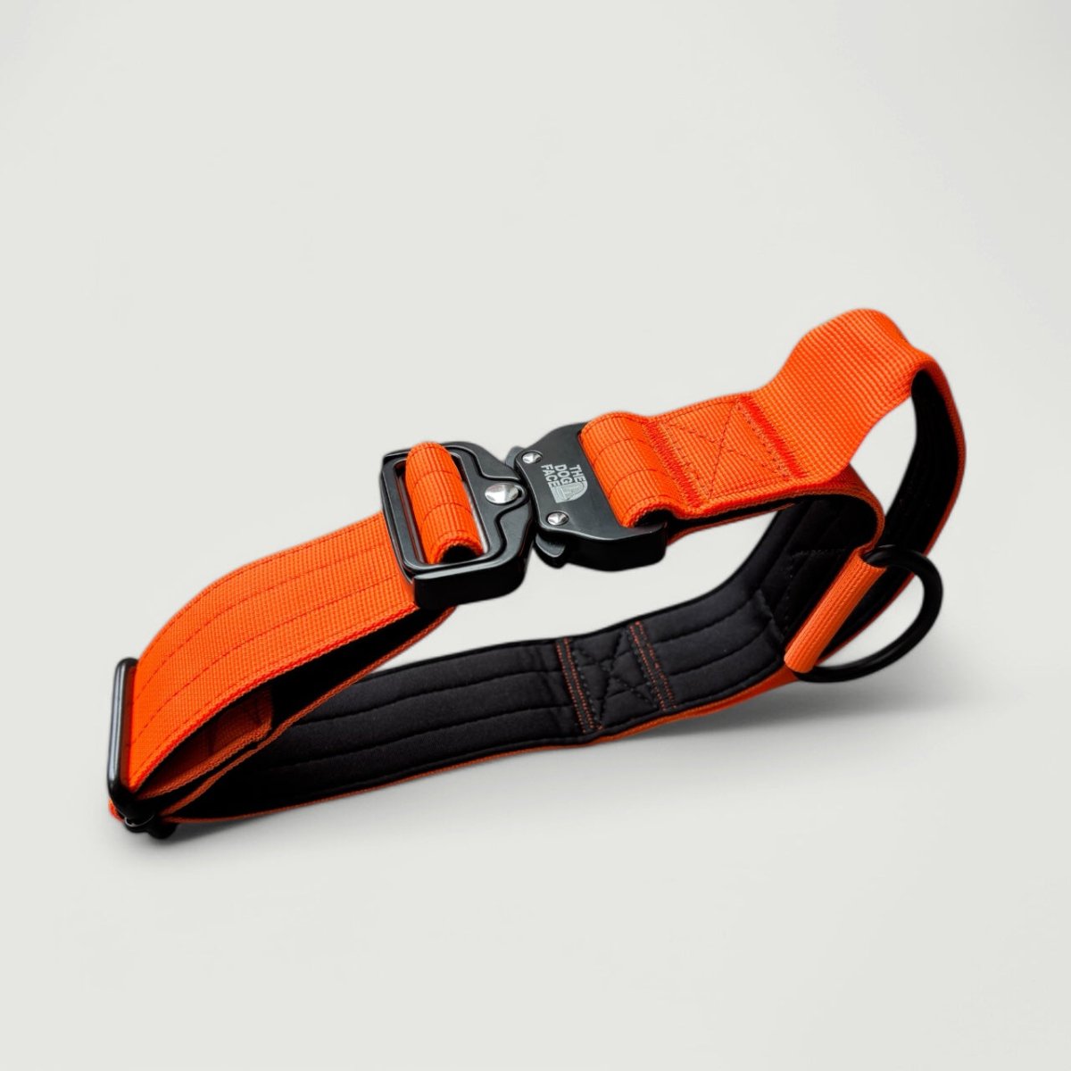 Tactical Dog Collar in Bright Orange – Durable Military-Grade Nylon with Quick Release and Control Lever, 5 cm Width 2