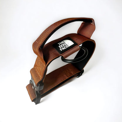 Tactical Dog Collar in Bright Orange – Durable Military-Grade Nylon with Quick Release and Control Lever, 5 cm Width 6
