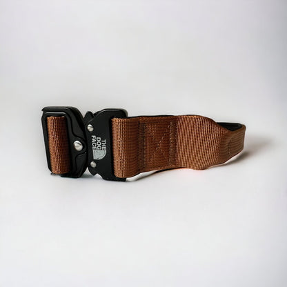 Tactical Dog Collar in Bright Orange – Durable Military-Grade Nylon with Quick Release and Control Lever, 5 cm Width 8