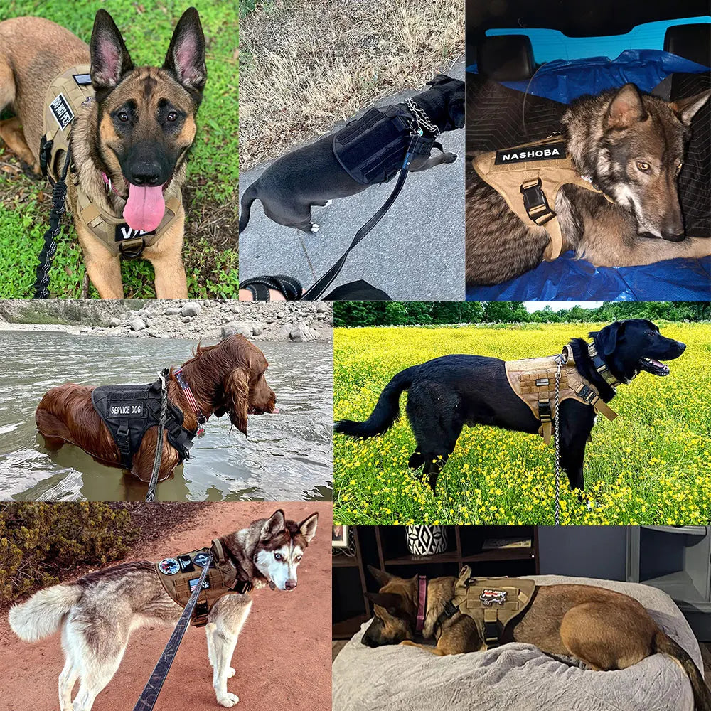 Tactical Dog Harness Set with Leash and Collar – Durable Nylon for Small and Large Dogs 6