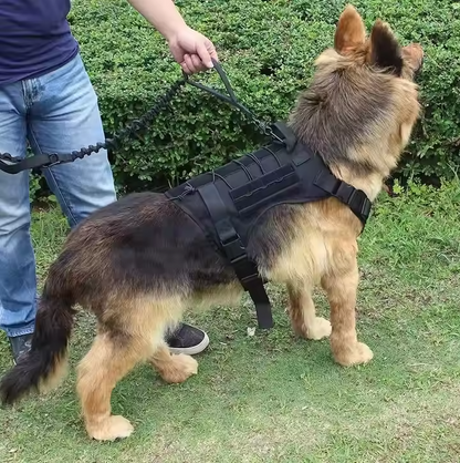 Tactical Dog Harness with Integrated Pockets and Elastic Leash for Training and Outdoor Adventures 1