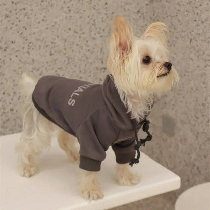 Thickened Plush Dog Sweater – Warm Polyester Hoodie for Autumn and Winter, Cozy Fit for All Sizes 3