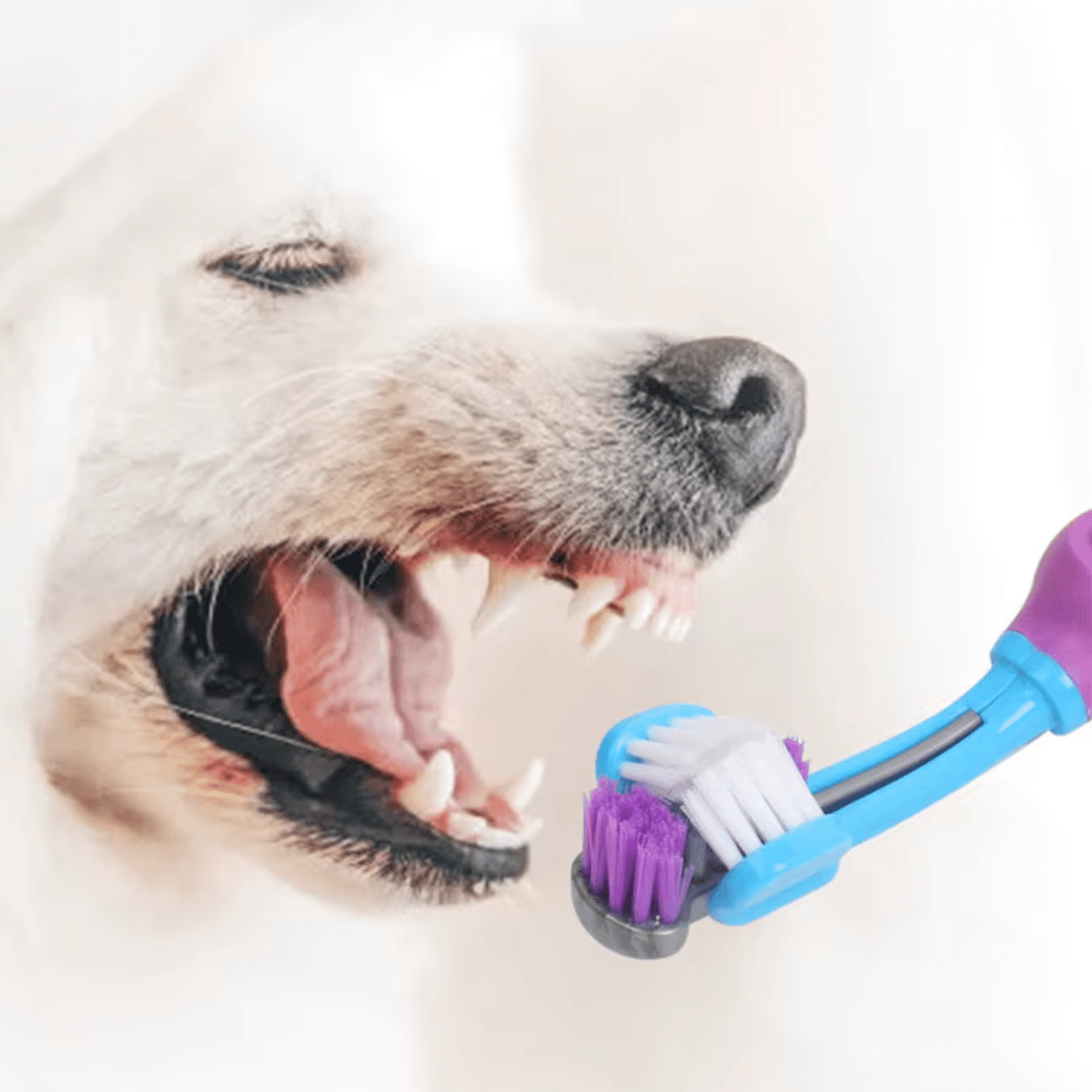 Three-Sided Toothbrush for Dogs and Cats – Effective Oral Care Tool 5