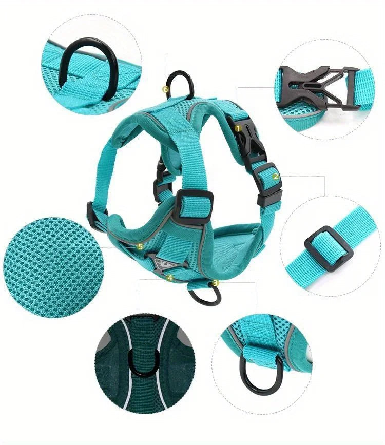 Toby No-Pull Dog Harness Set with Reflective Accents – Adjustable for Small Dogs 1