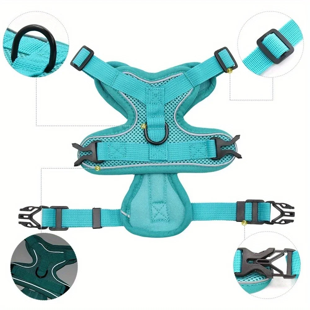 Toby No-Pull Dog Harness Set with Reflective Accents – Adjustable for Small Dogs 2