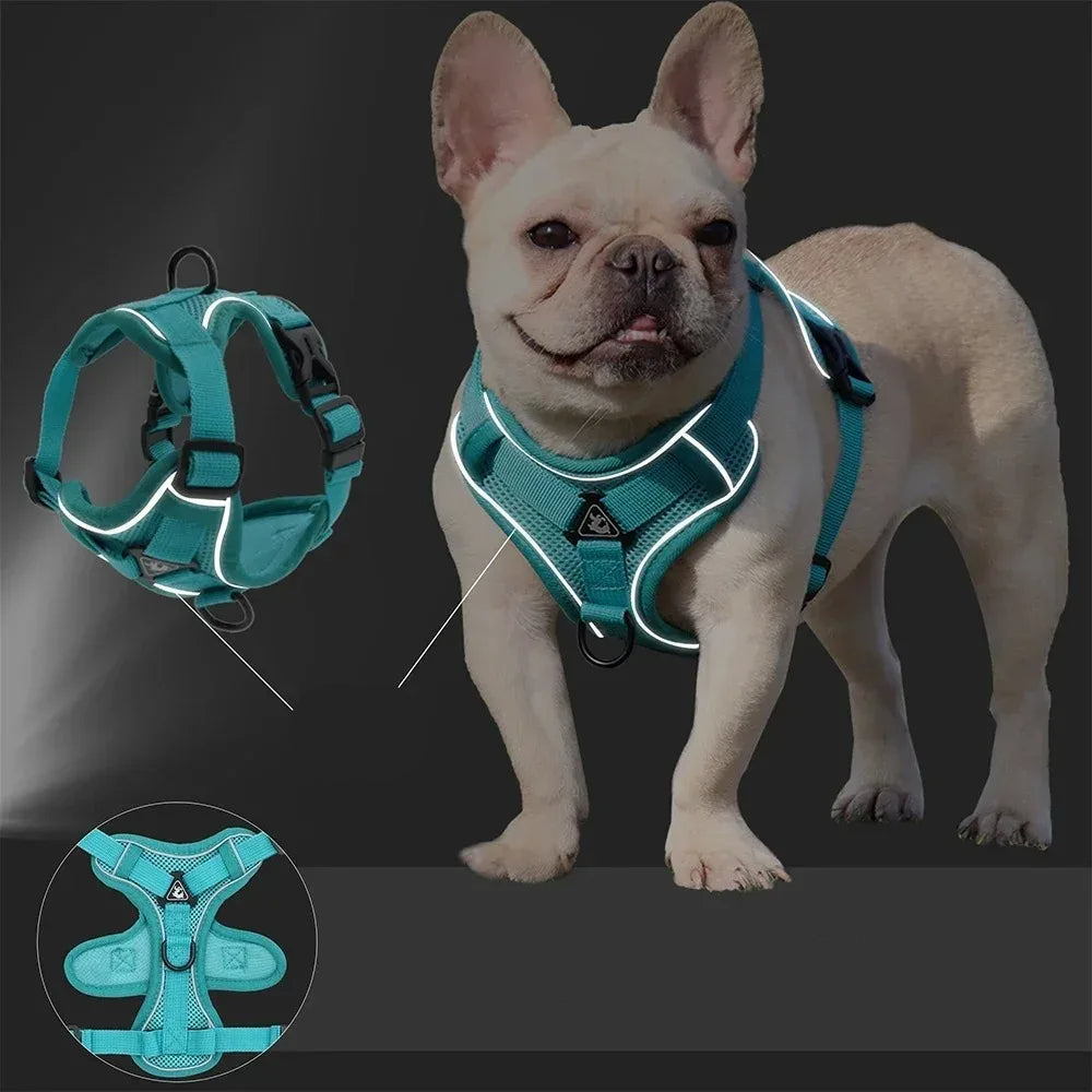 Toby No-Pull Dog Harness Set with Reflective Accents – Adjustable for Small Dogs 5