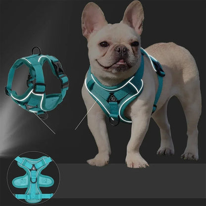 Toby No-Pull Dog Harness Set with Reflective Accents – Adjustable for Small Dogs 5