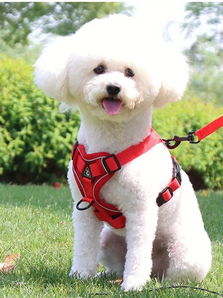 Toby No-Pull Dog Harness Set with Reflective Accents – Adjustable for Small Dogs 8