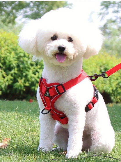 Toby No-Pull Dog Harness Set with Reflective Accents – Adjustable for Small Dogs 8