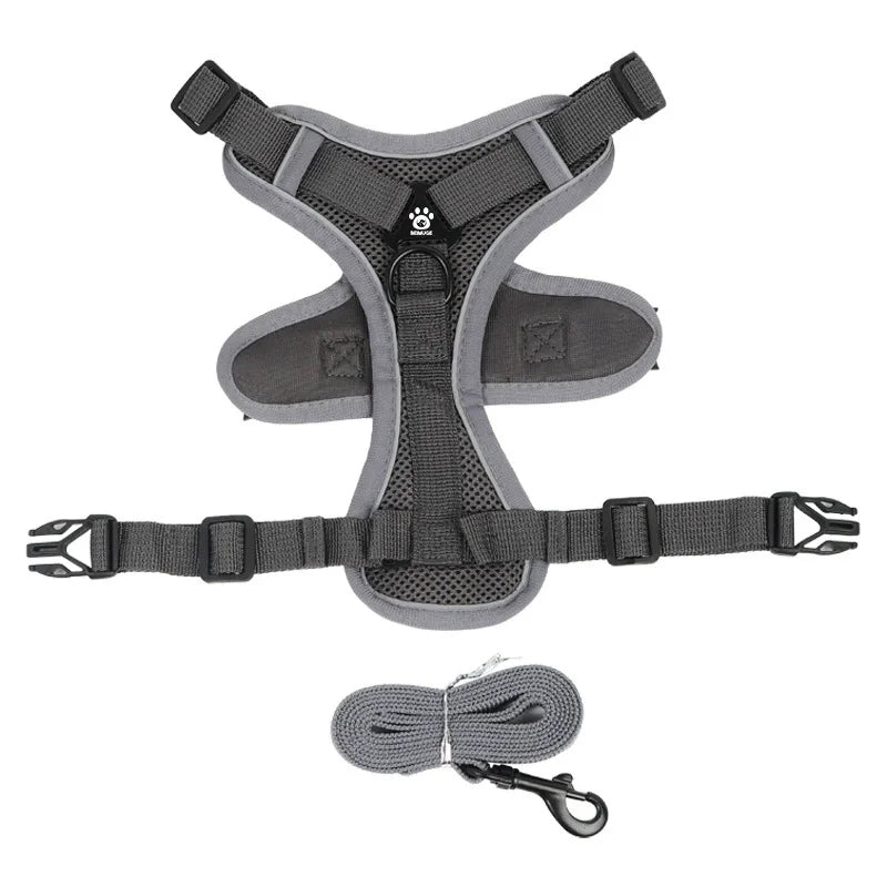 Toby No-Pull Dog Harness Set with Reflective Accents – Adjustable for Small Dogs 9