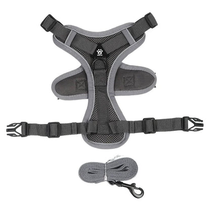 Toby No-Pull Dog Harness Set with Reflective Accents – Adjustable for Small Dogs 9
