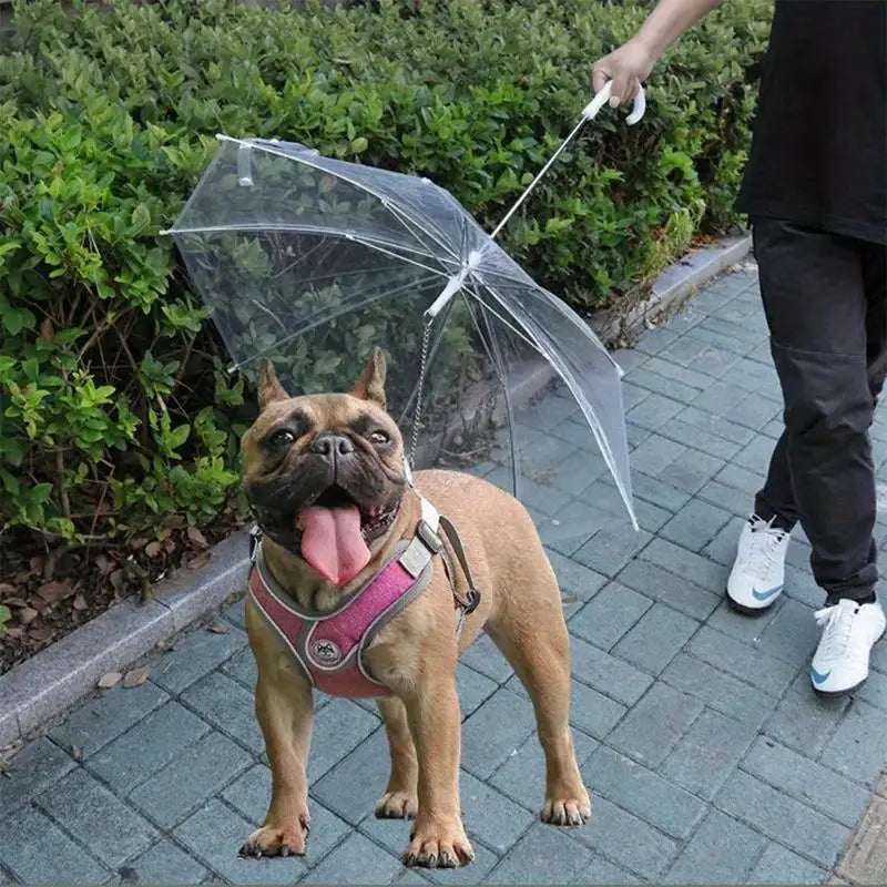 Transparent Dog Umbrella with Strap – Weatherproof Protection for Rain and Snow, 66cm 0