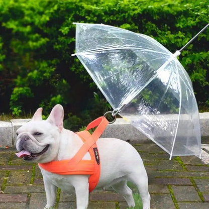 Transparent Dog Umbrella with Strap – Weatherproof Protection for Rain and Snow, 66cm 1