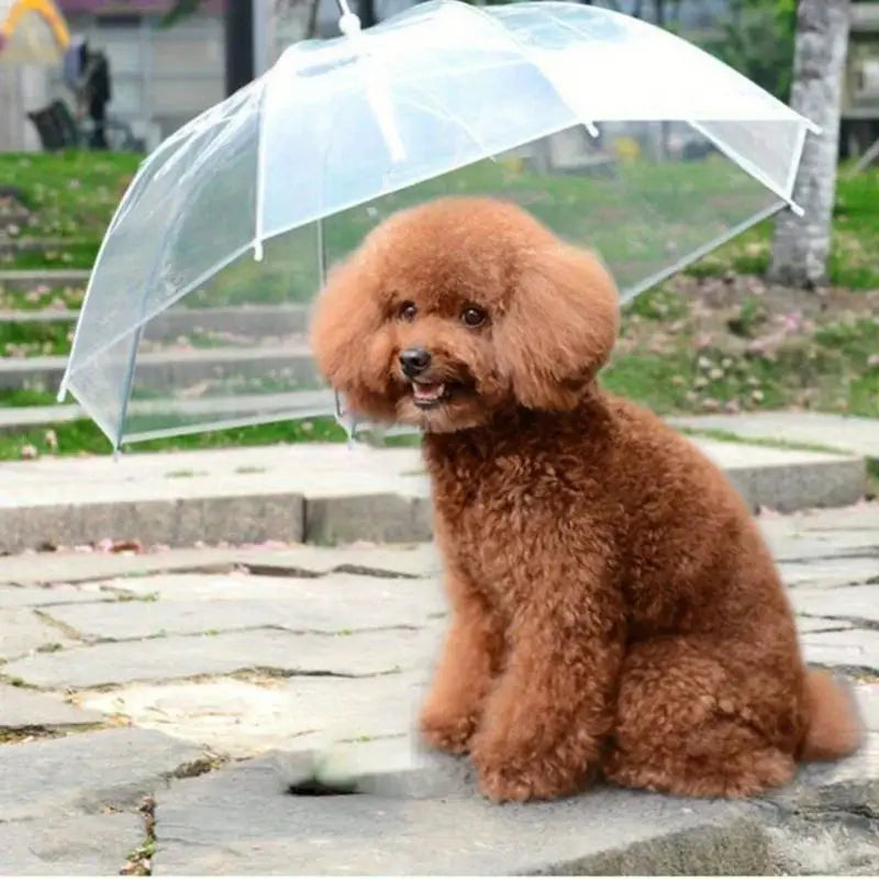 Transparent Dog Umbrella with Strap – Weatherproof Protection for Rain and Snow, 66cm 4