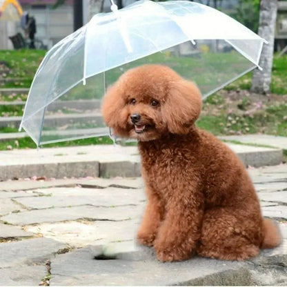 Transparent Dog Umbrella with Strap – Weatherproof Protection for Rain and Snow, 66cm 4