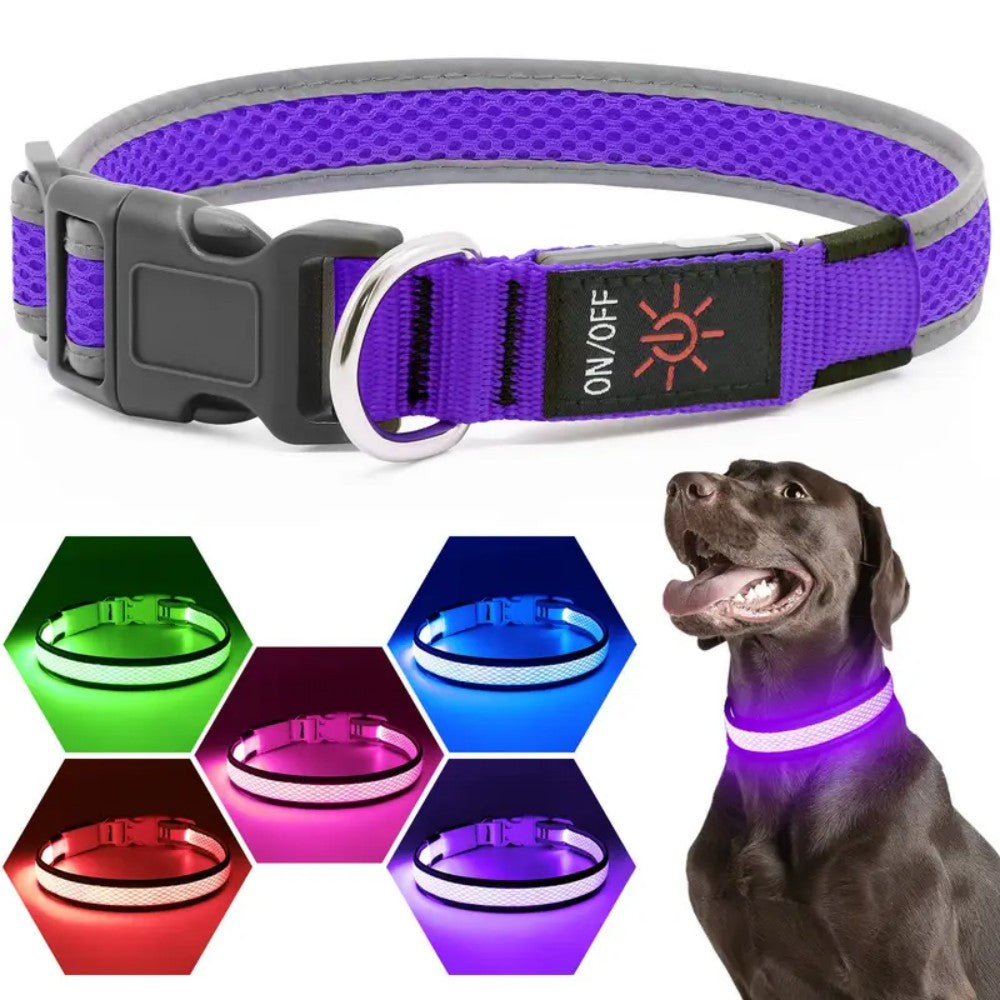 USB rechargeable LED dog collar featuring an anti-lost design, perfect for night walks, made from comfortable soft fabric. 1