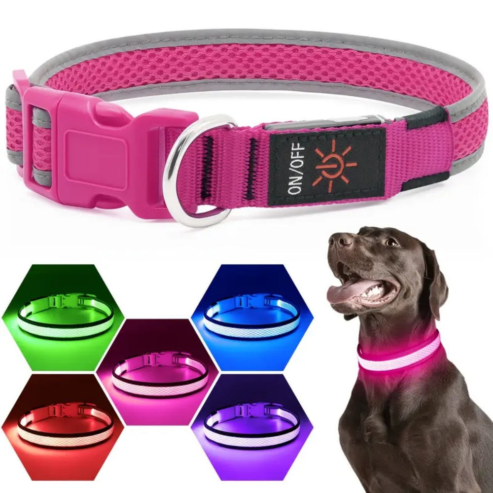 USB rechargeable LED dog collar featuring an anti-lost design, perfect for night walks, made from comfortable soft fabric. 2