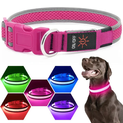 USB rechargeable LED dog collar featuring an anti-lost design, perfect for night walks, made from comfortable soft fabric. 2
