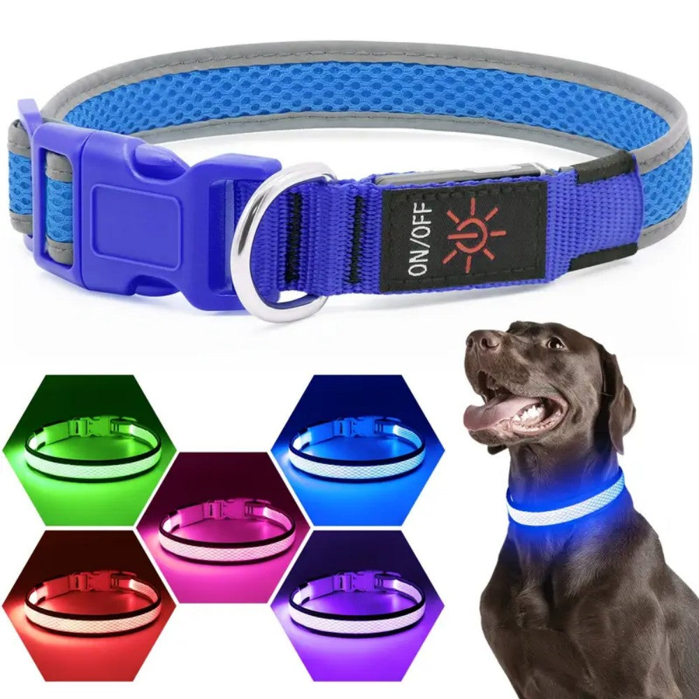 USB rechargeable LED dog collar featuring an anti-lost design, perfect for night walks, made from comfortable soft fabric. 3