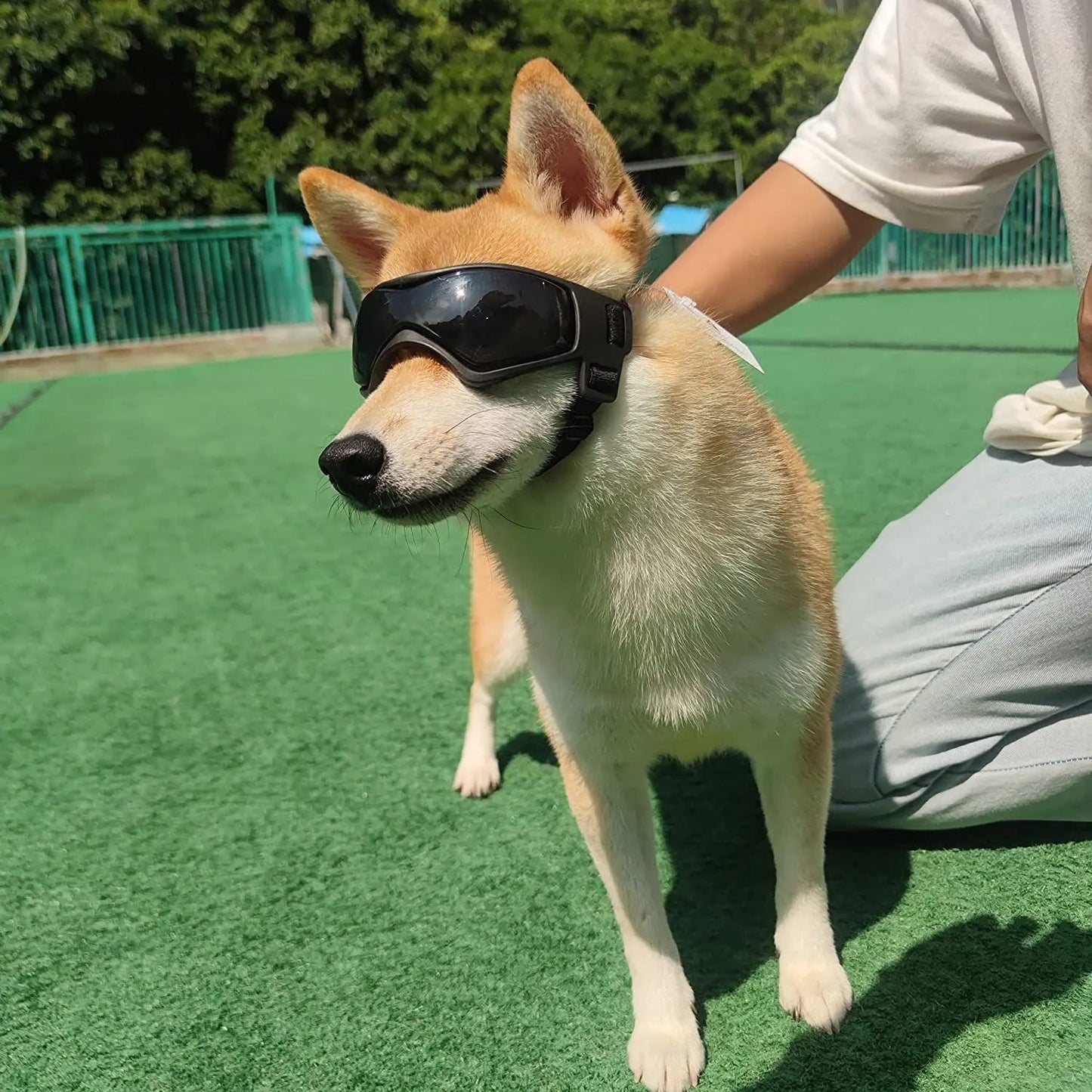 UV Protective Dog Sunglasses and Goggles for Small Dogs – Adjustable Fit for Outdoor Activities, Dust and UV Protection 5