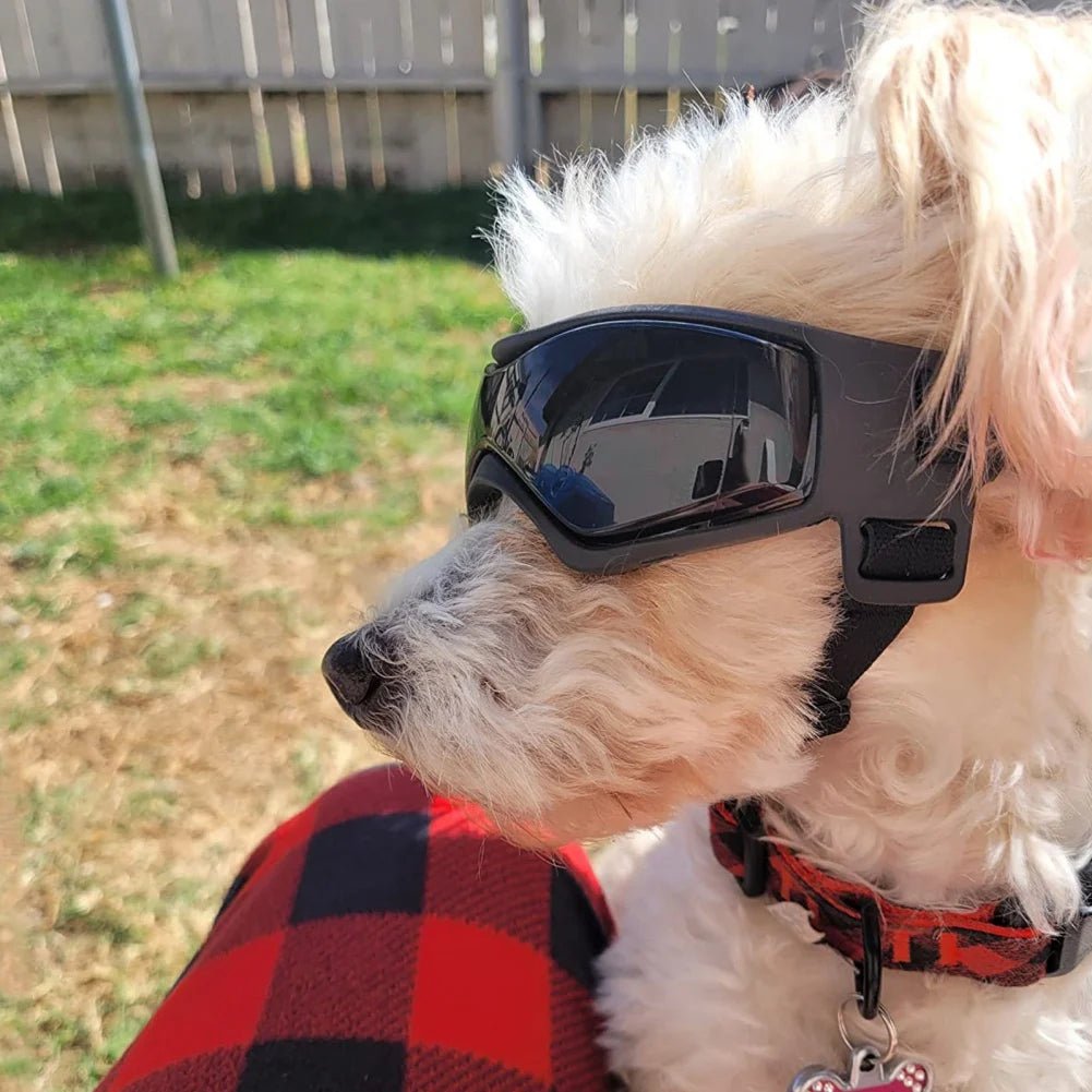 UV Protective Dog Sunglasses and Goggles for Small Dogs – Adjustable Fit for Outdoor Activities, Dust and UV Protection 6