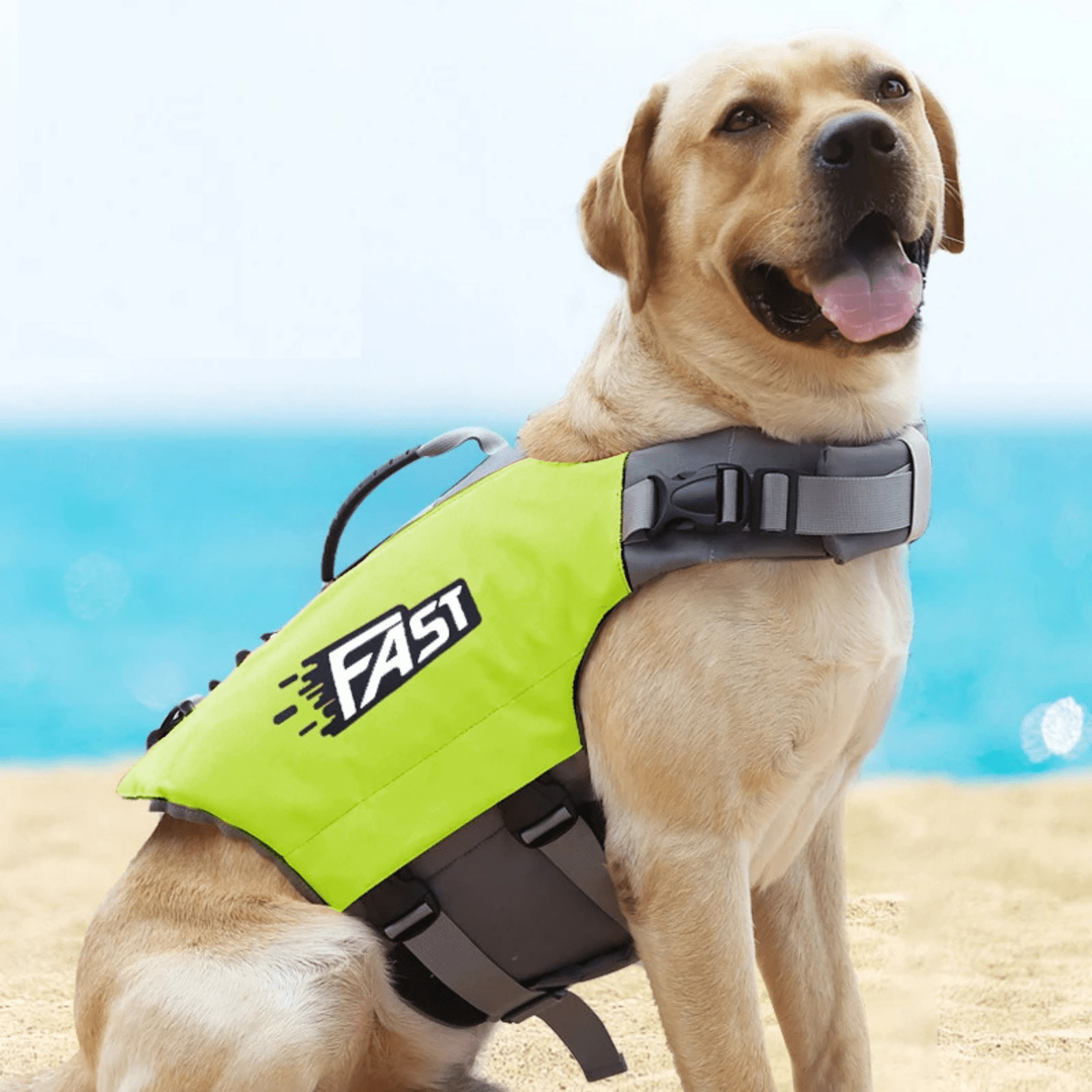 Ultimate Dog Life Jacket for Water Activities – Adjustable, High Buoyancy, Quick-Drying Vest 0