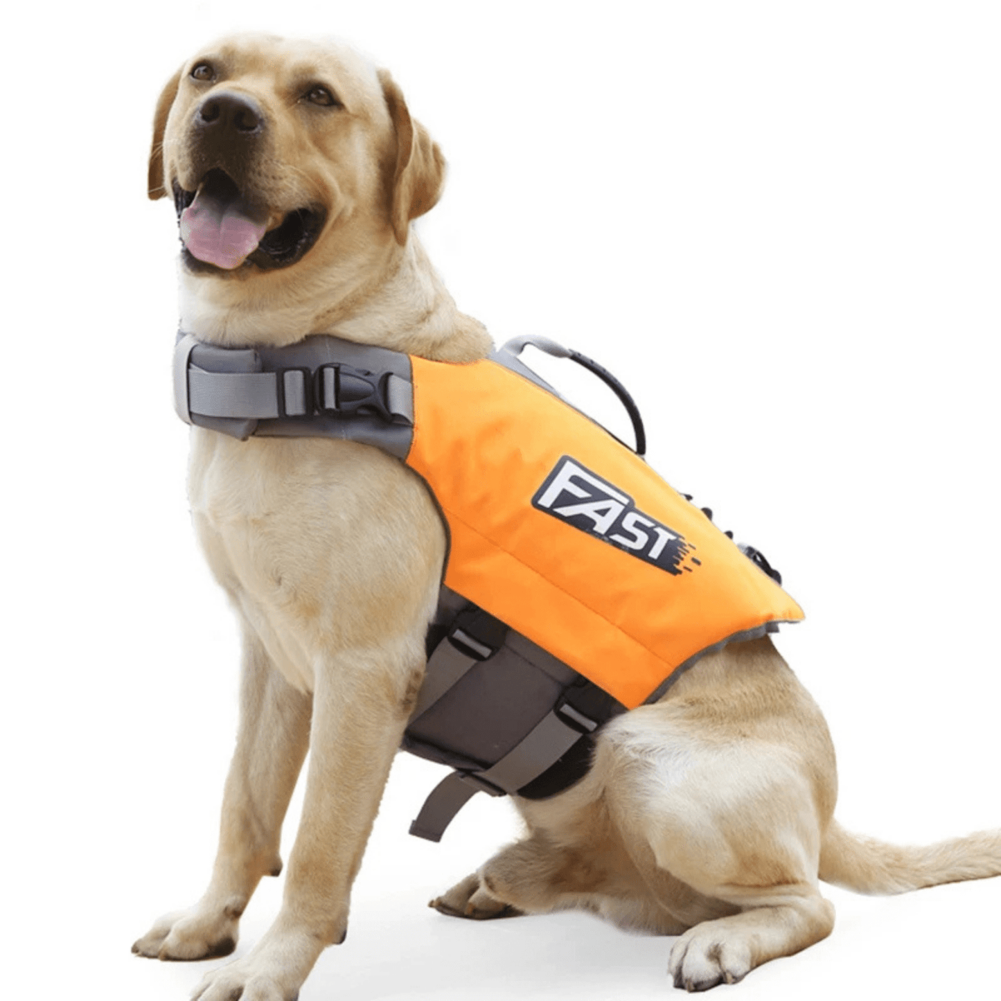 Ultimate Dog Life Jacket for Water Activities – Adjustable, High Buoyancy, Quick-Drying Vest 1
