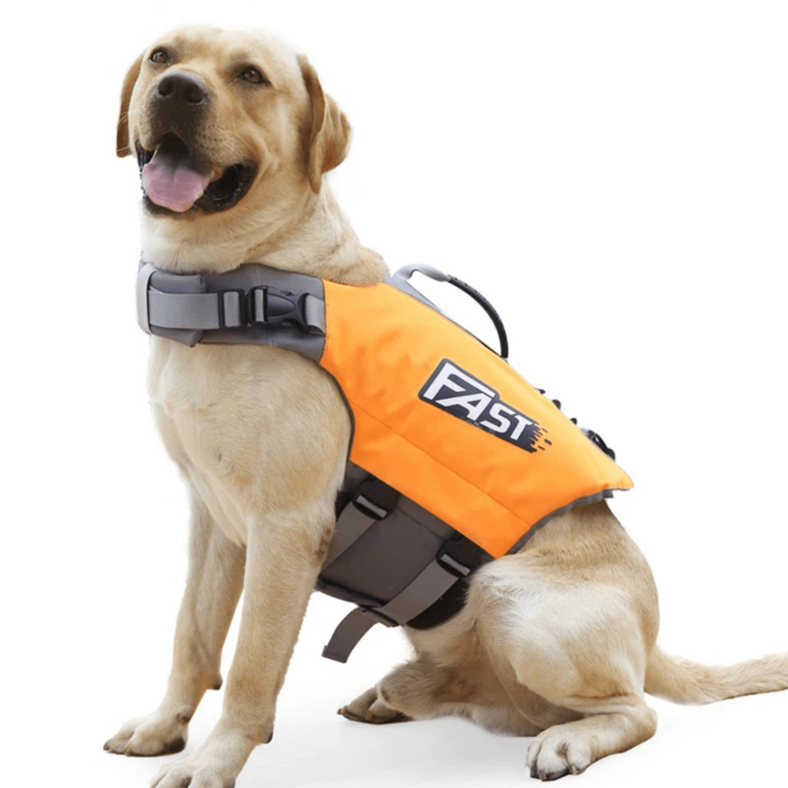 Ultimate Dog Life Jacket with Adjustable Fit and High Buoyancy – Small Dog Swim Vest for Safety in Water Activities 1