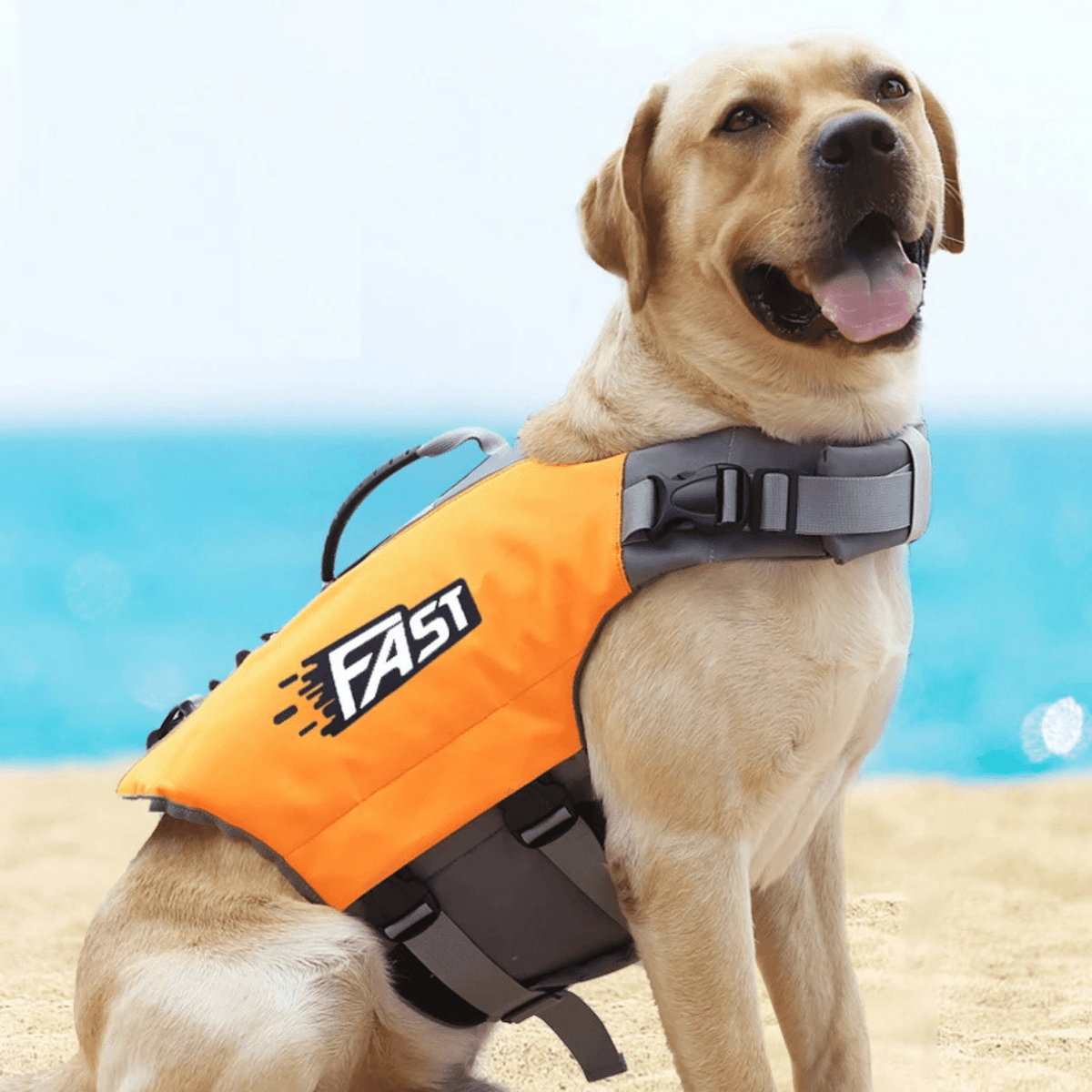 Ultimate Dog Life Jacket with Adjustable Fit and High Buoyancy – Small Dog Swim Vest for Safety in Water Activities 5
