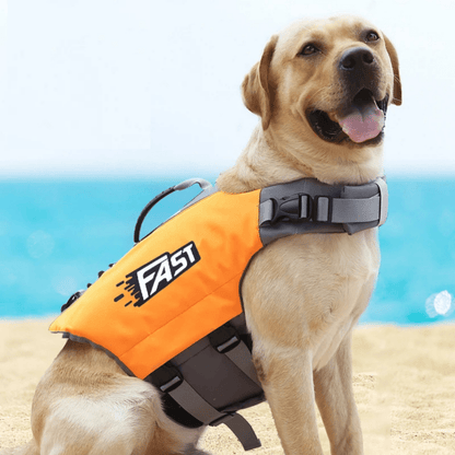 Ultimate Dog Life Jacket with Adjustable Fit and High Buoyancy – Small Dog Swim Vest for Safety in Water Activities 5