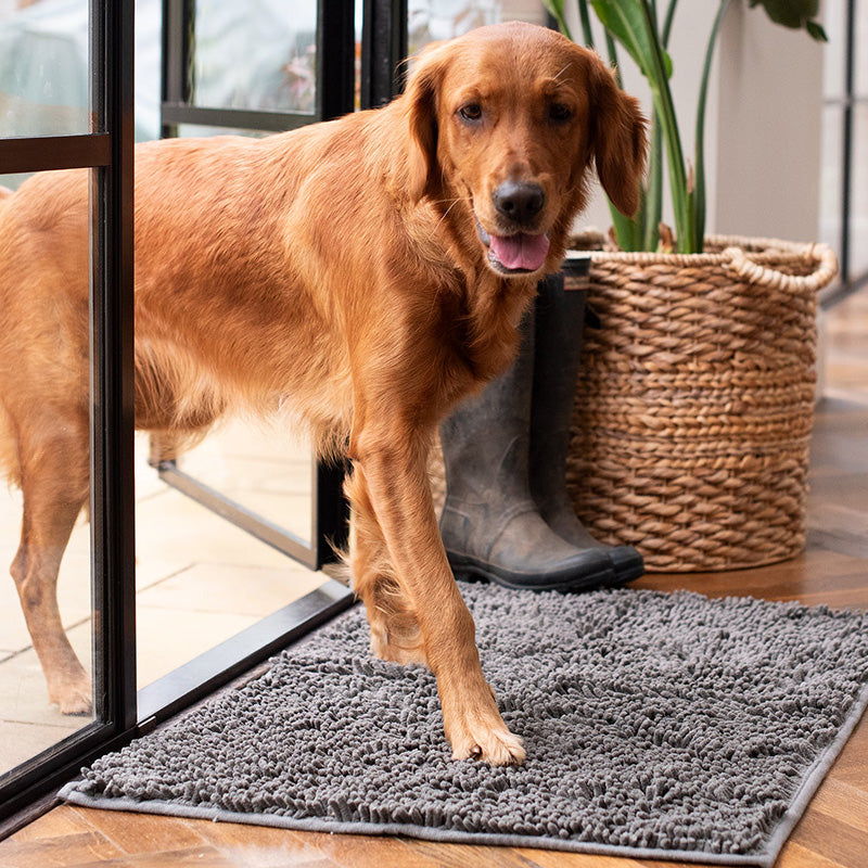 Ultra-Absorbent Dog Mat with Non-Slip Backing – Soft Microfiber for Comfort 0