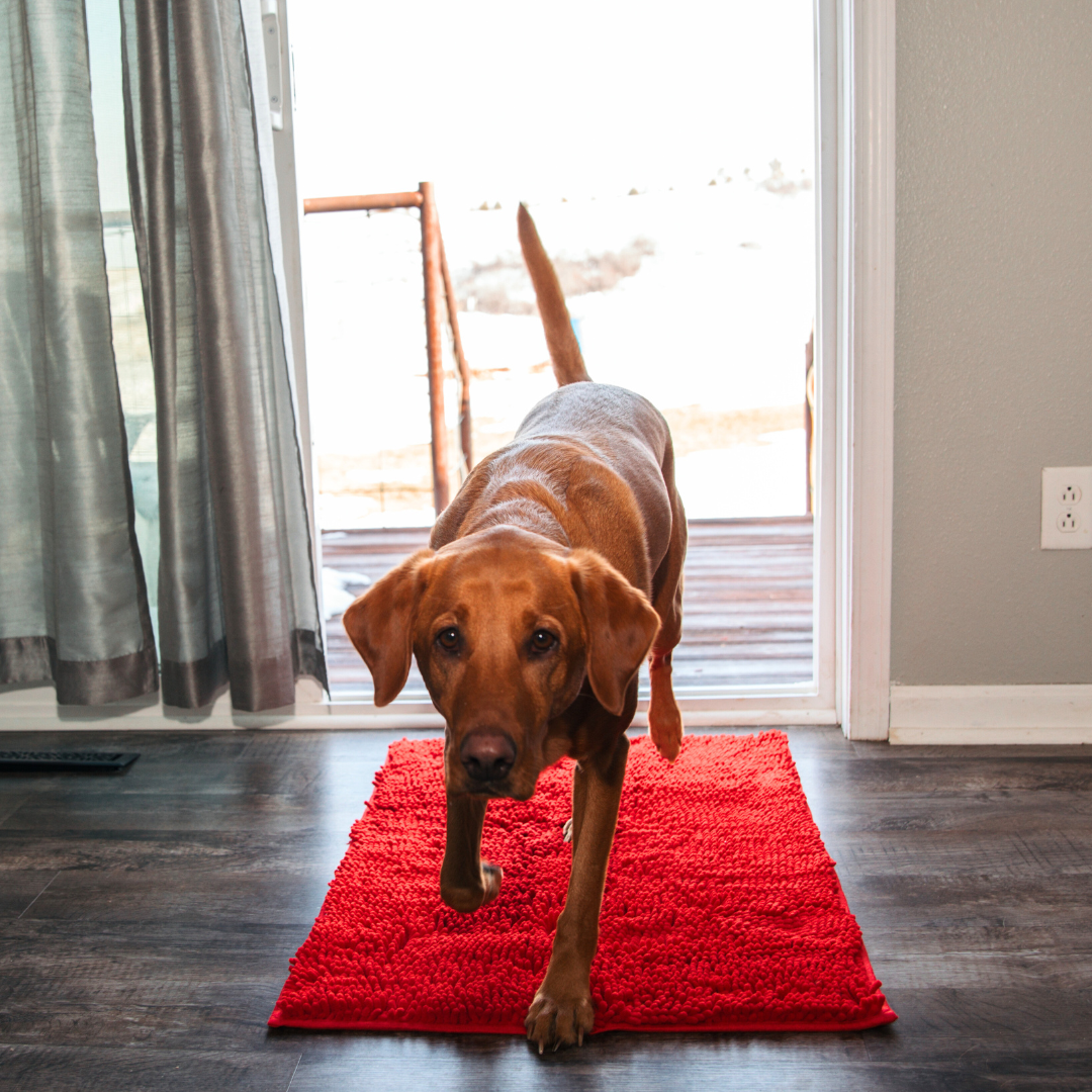 Ultra-Absorbent Dog Mat with Non-Slip Backing – Soft Microfiber for Comfort 10