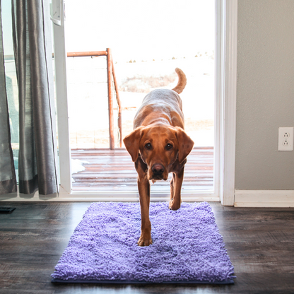 Ultra-Absorbent Dog Mat with Non-Slip Backing – Soft Microfiber for Comfort 11