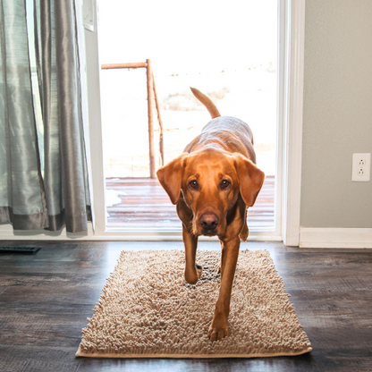 Ultra-Absorbent Dog Mat with Non-Slip Backing – Soft Microfiber for Comfort 12