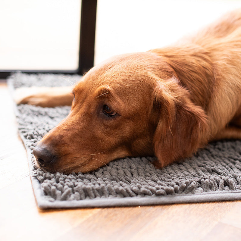 Ultra-Absorbent Dog Mat with Non-Slip Backing – Soft Microfiber for Comfort 2